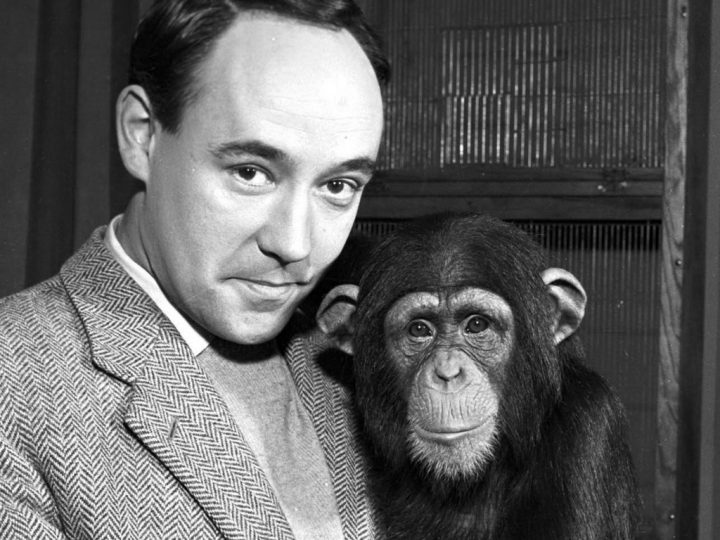 Mandatory Credit: Photo by ITV / Rex Features ( 656661a ) 'Zoo Time' 1961, Desmond Morris ITV Archive