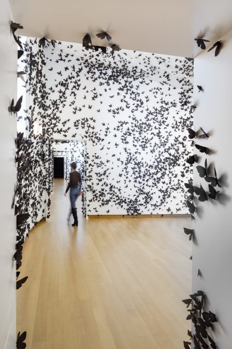 1-carlos-amorales-black-cloud-2007-installatie-collectie-diane-and-bruce-halle-2