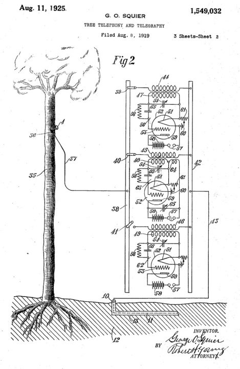 arbol