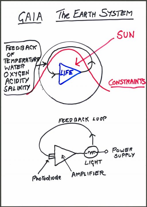 Hand drawn diagram of Gaia: the Earth system and feedback loop